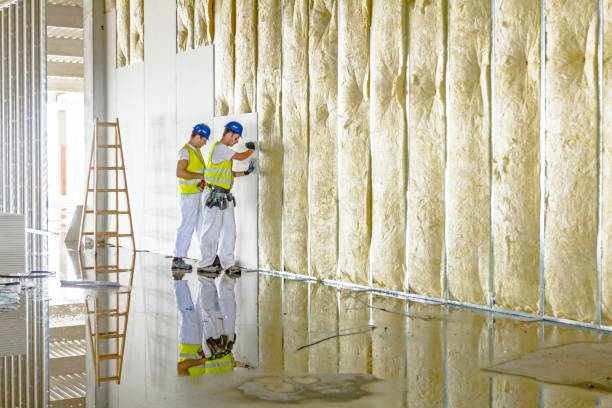 Best Eco-Friendly or Green Insulation Solutions  in Plantation, FL